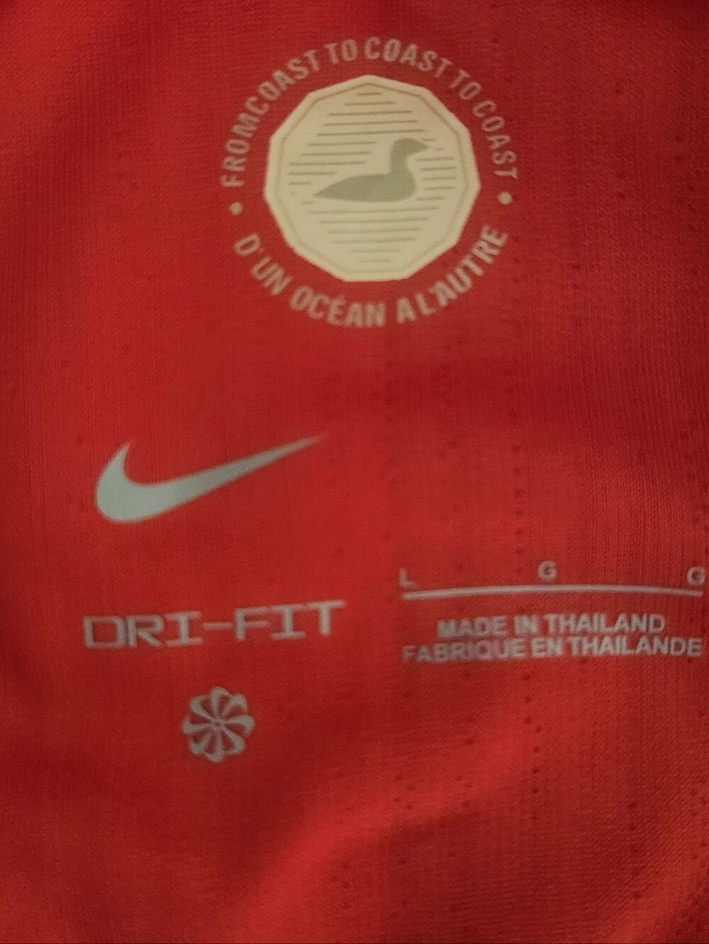 Canada Jersey World Cup 2026 Size Large - Picture 3 of 4